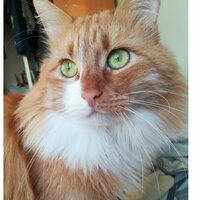 Марина Овясянникова