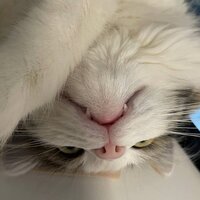 Максим Гончаров