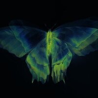 Екатерина Я.