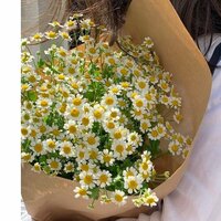 Софья Кулачкина