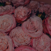 Мокина Людмила