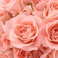 Ирина Рябинина