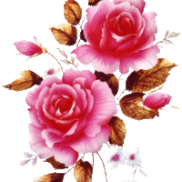 Светлана *****