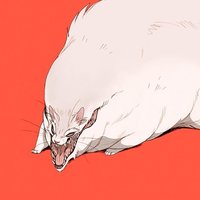 Анастасия Журавлева