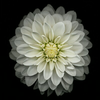 v60wugk6ya2d66nke632086ghm