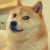 dp4dkqgg7y02vdewxh5w2qu6ur