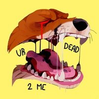 Елена Вольф