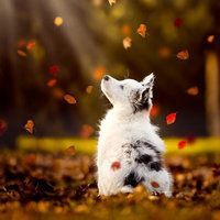 Нина Мухортова