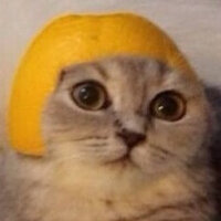 Никита Волков