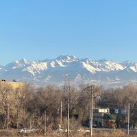 Артемий Игошев