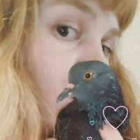 Марина Чернова