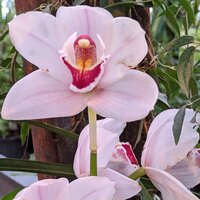 Наталья Титова