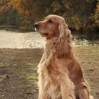 Алиса Рогожкина