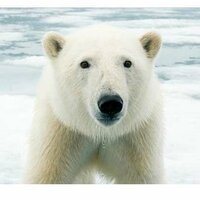 Просто Сергей