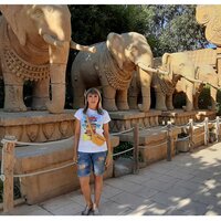 Светлана В.