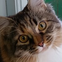 Ирина Кудряшова