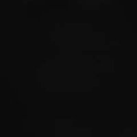 Алексей Лукконен