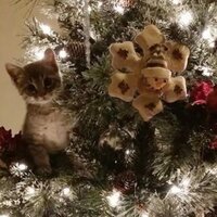 sᴀʙɪɴᴋᴀ🤍💋