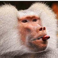 Автор отзыва Воробьев Николай