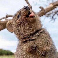 Веста Воронцова