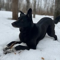 Виктория Бенашвили