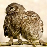 Екатерина Медведь