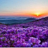 Екатерина Коваленко