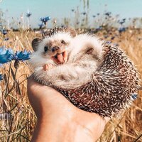 Байтурина Регина