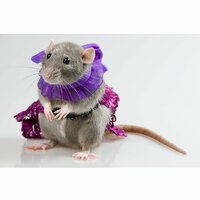 Юлия Ильичева