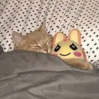 Дэни Гиназов