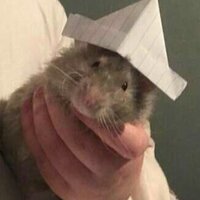 Лия Юнусова