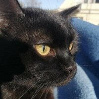 Крюкова Анастасия