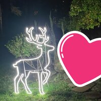 Ирина Александровна