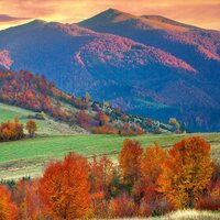 Елизавета М.