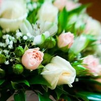 Вера Аникович