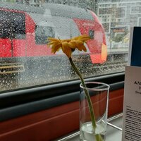 Егор Кручинин