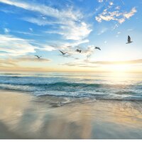 Наталья Гришина