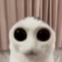 Ярослав Прилепский