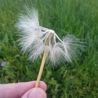 Татьяна Логинова