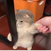 Александра П.