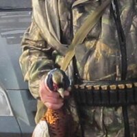 646425 Ермоченко