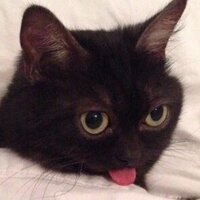 Ксения Малкова