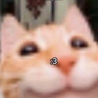 Анастасия Пелина