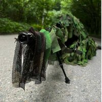 Дмитрий Молчанов