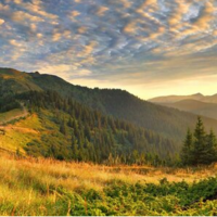 Ника Миронова