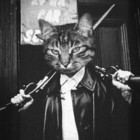 Адам Данилов