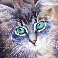 София Розова