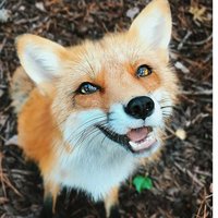 Юлия Ивашиненко