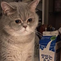 Мария Летуненко