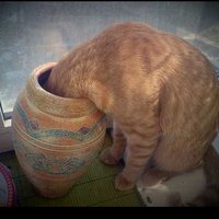 Татьяна Сечкин